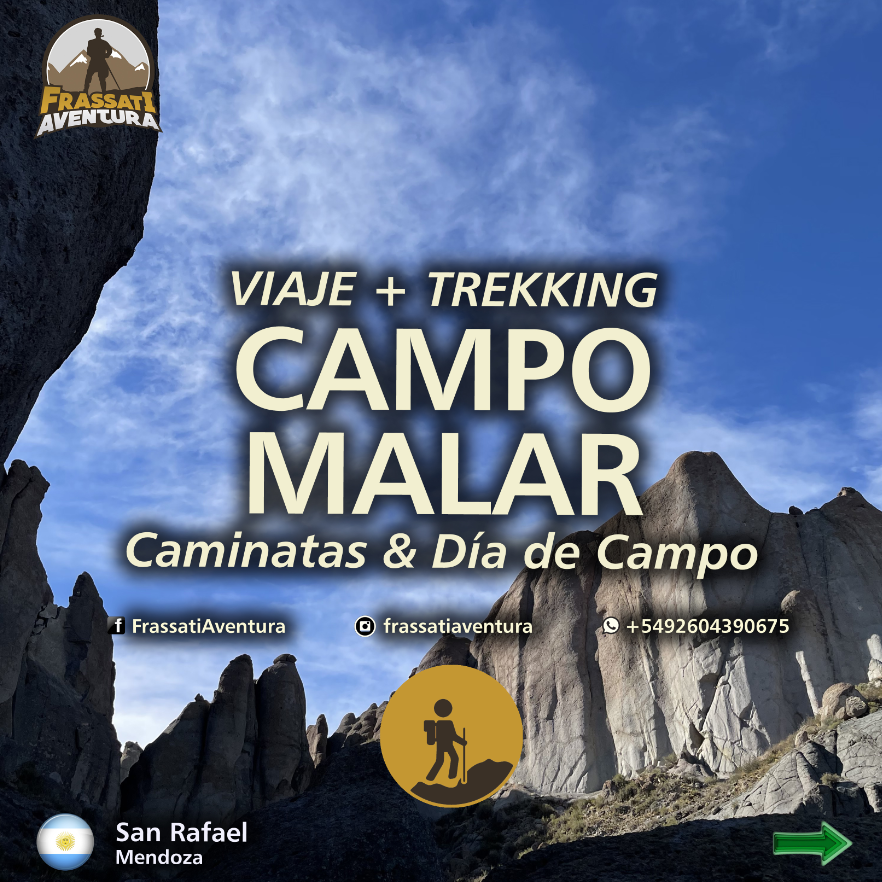 Campo Malar